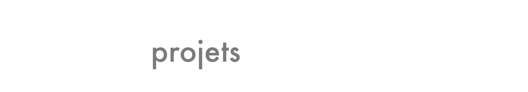 © Ludovic LAURENT - Projets à venir…